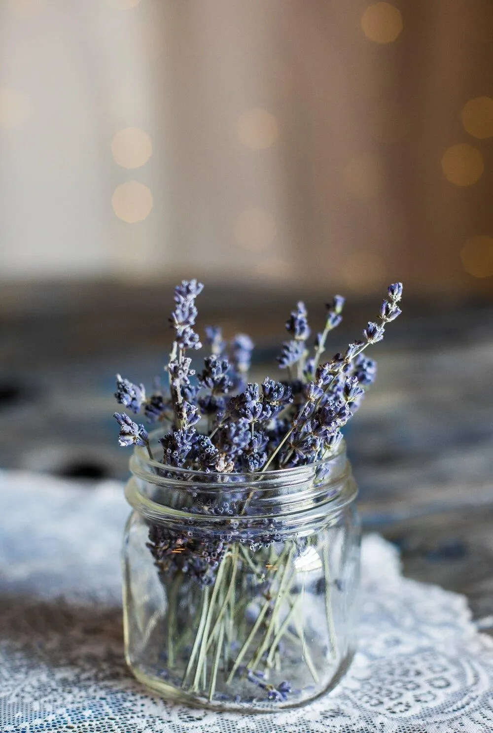 Lavender Seeds