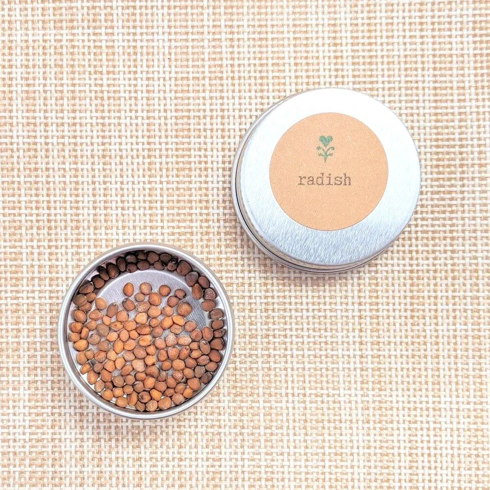Organic Radish Seeds